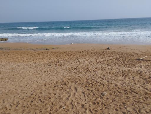 عکس تفرجگاه ساحلی دریا بزرگ