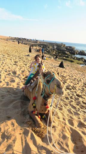 عکس تفرجگاه ساحلی دریا بزرگ