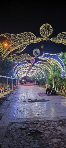 عکس تفرجگاه ساحلی دریا بزرگ