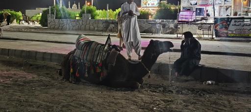 عکس تفرجگاه ساحلی دریا بزرگ