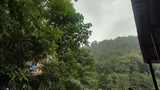 عکس گیجاب