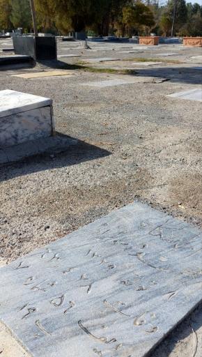 عکس مزار مرحوم محمود رسول زاده