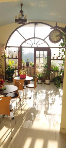 عکس مجموعه ورزشی آمین