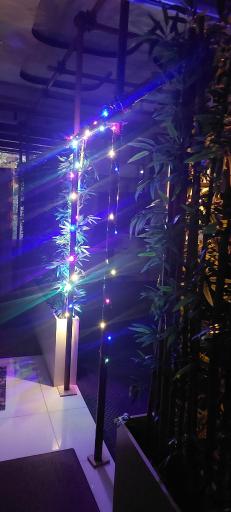 مجموعه ورزشی آمین