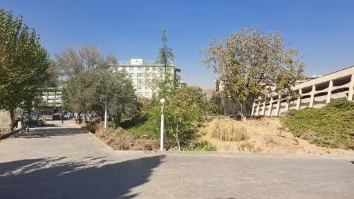 عکس موزه فرش ایران