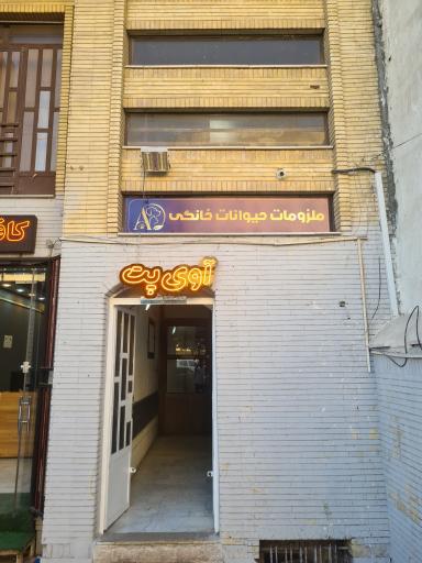 آوی پت