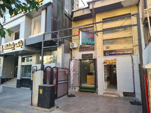 آوی پت