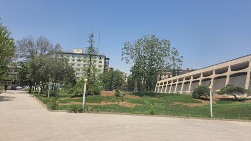 عکس موزه فرش ایران