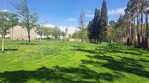 عکس موزه فرش ایران