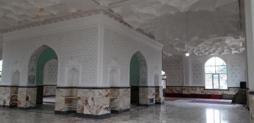 عکس همه سین