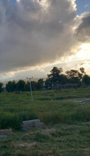 عکس آرامستان تاریخی دارالسلام