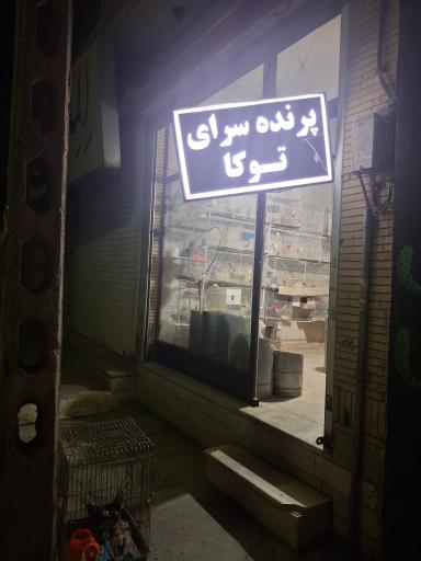 عکس پرنده سرای توکا