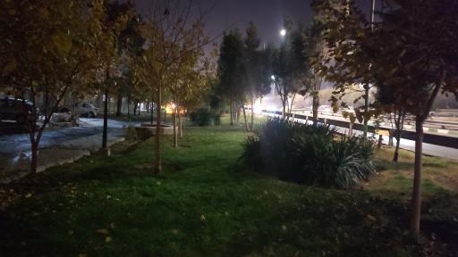 عکس بوستان قائم
