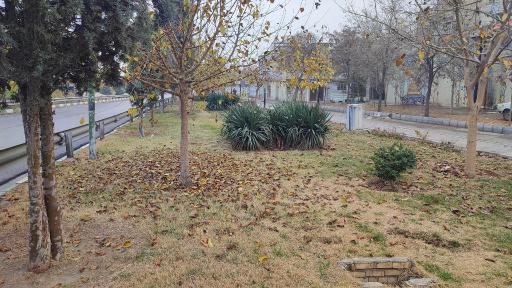 عکس بوستان قائم