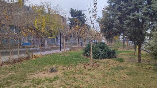 عکس بوستان قائم