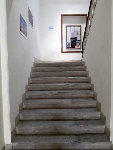 خانه لاله ای