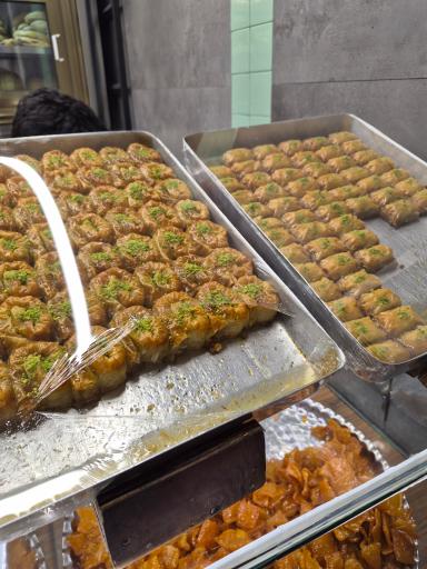 عکس دوغ و گوشفیل میدون