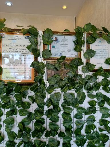 عکس مشاور املاک خانی