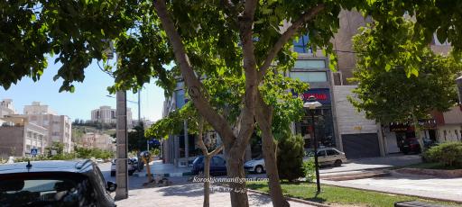 عکس هاشمیه ۶۷