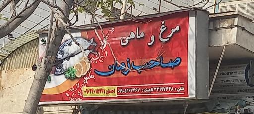 عکس مرغ و ماهی صاحب الزمان