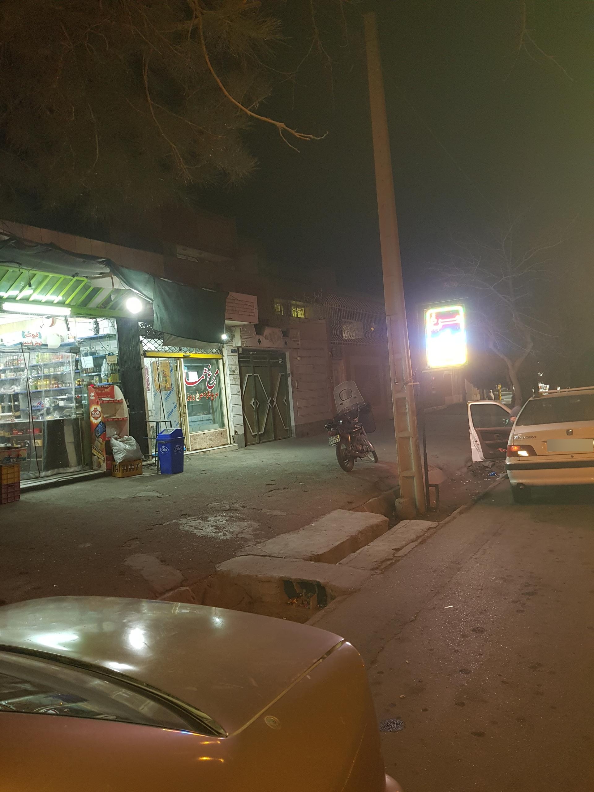 عکس مرغ و ماهی هما