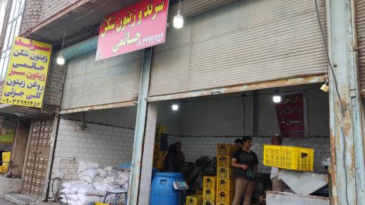 عکس زیتون فروشی حاتمی 