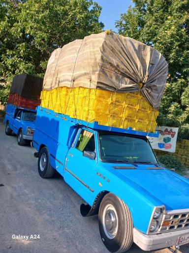 عکس سبد فروشی مهدی شاه