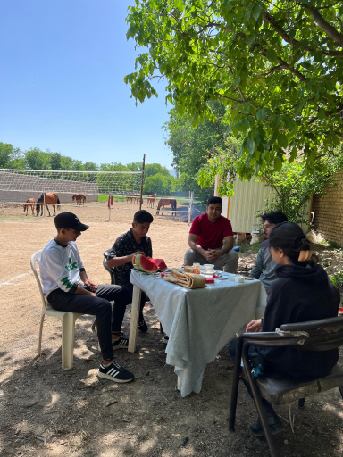 عکس باشگاه پرورش اسب وحدانی