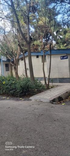 عکس سرویس بهداشتی شماره ۱۹