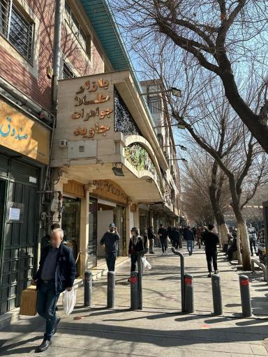 عکس کاتینی گلد