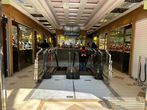 عکس کاتینی گلد