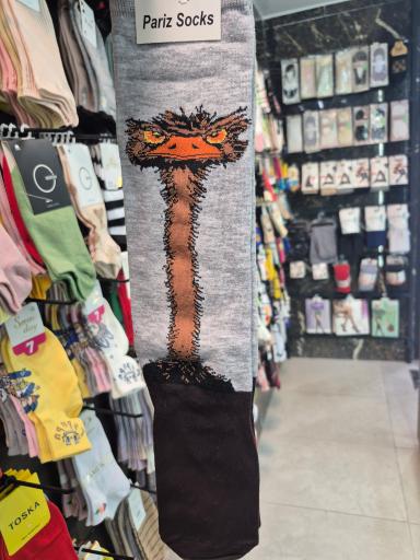 فروشگاه لیدی شاپ