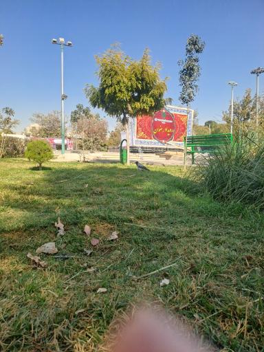 عکس بوستان نوفل لوشاتو