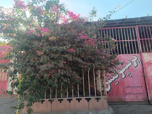 عکس انبار کاشی پرسپولیس