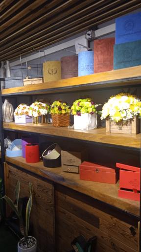 عکس گلکده صورتی