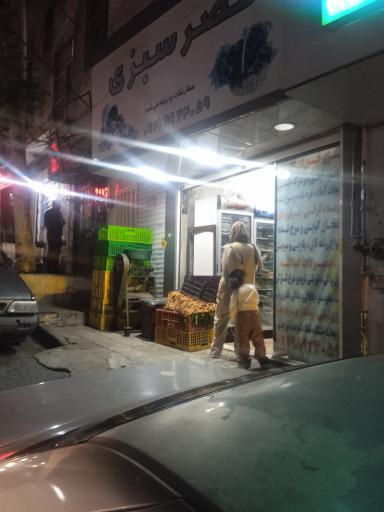 عکس قصر سبزی