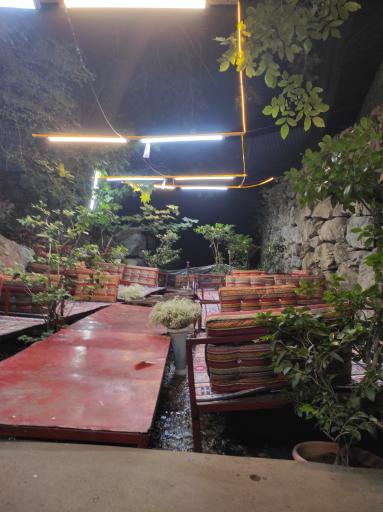 عکس رستوران قلمستان