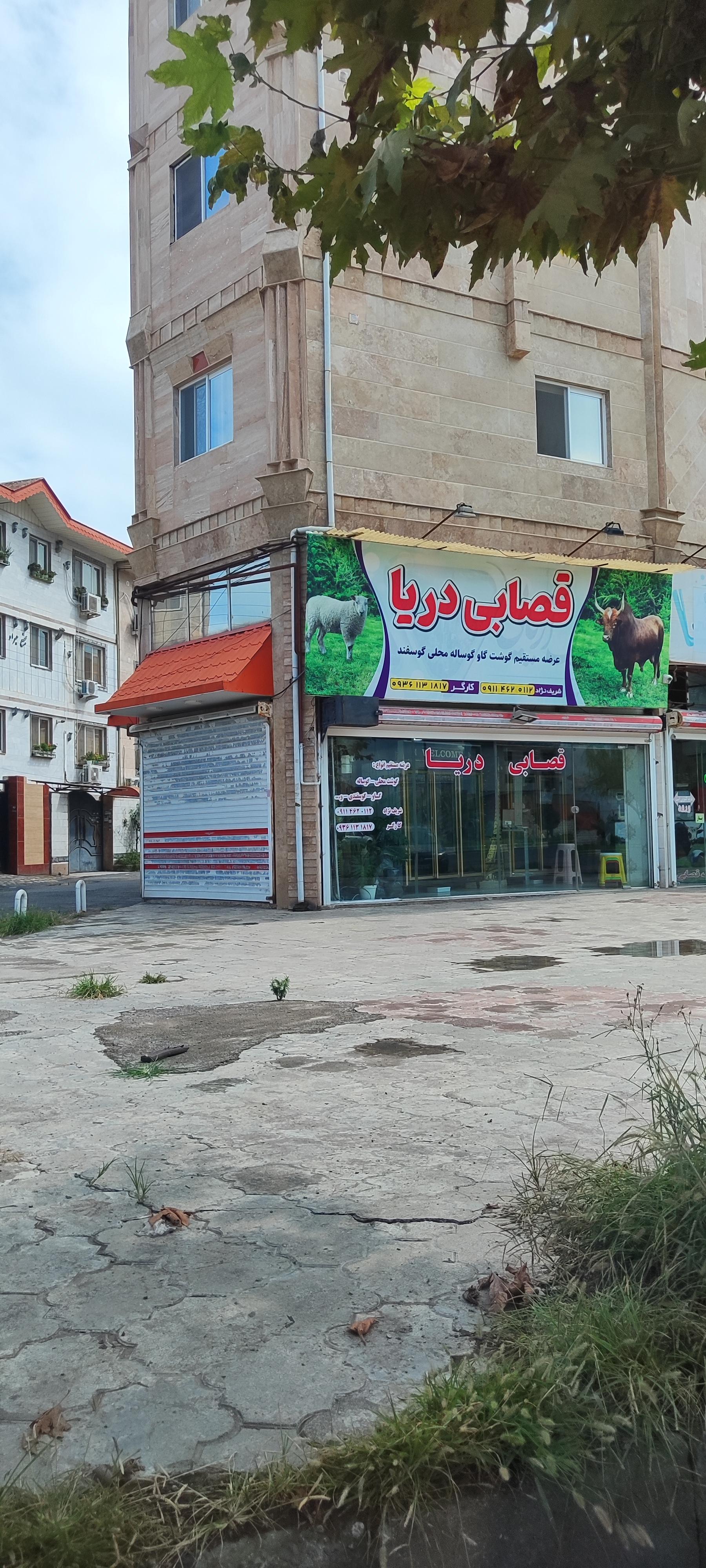 عکس قصابی دریا