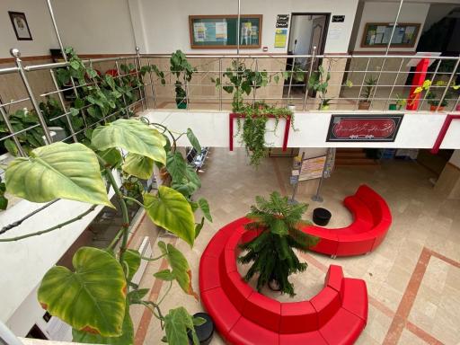 عکس متروپل اردبیل