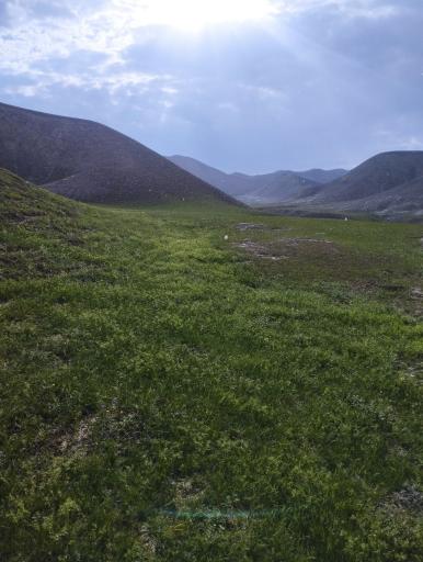 عکس چشمه پرویز خان