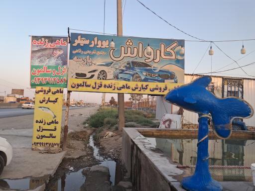 عکس ماهی فروشی کیارش