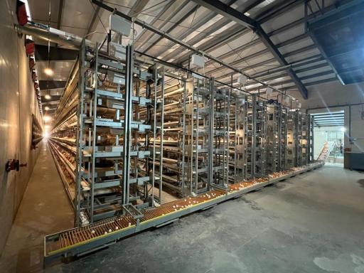 عکس شرکت تجهیز ماکیان