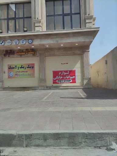 عکس فروشگاه لوازم حیوانات خانگی 
