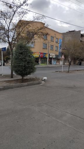 عکس سوپر مارکت سحر