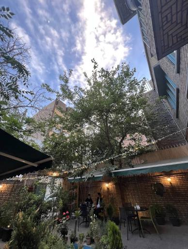 عکس کافه گالری ابتدا