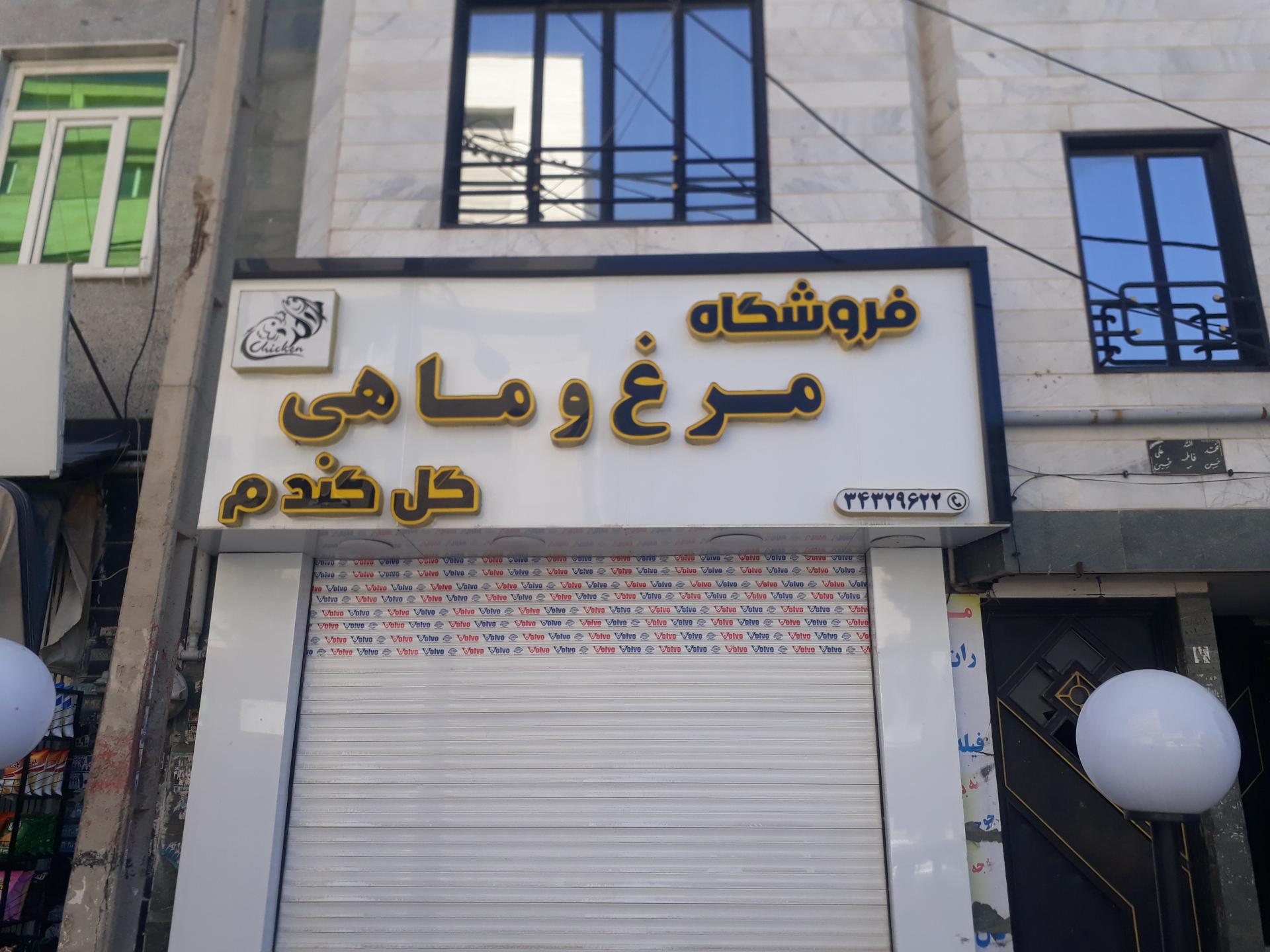 عکس مرغ و ماهی گل گندم