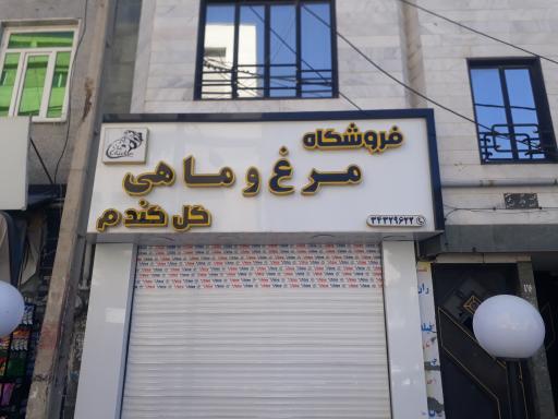 عکس مرغ و ماهی گل گندم