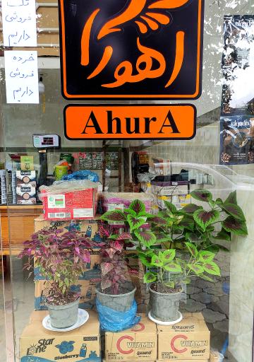 پخش مواد غذایی اهورا