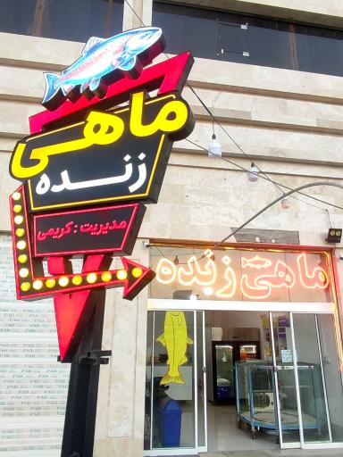 عکس ماهی قزل‌ آلا زنده کریمی