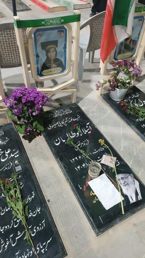عکس مزار شهیده آنیلا ابوطالبیان